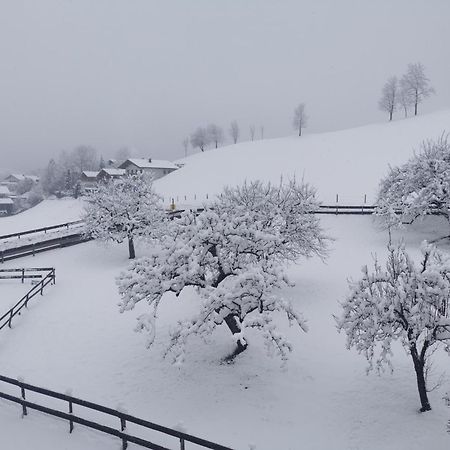 Landidyll Am Thiersee Exterior photo